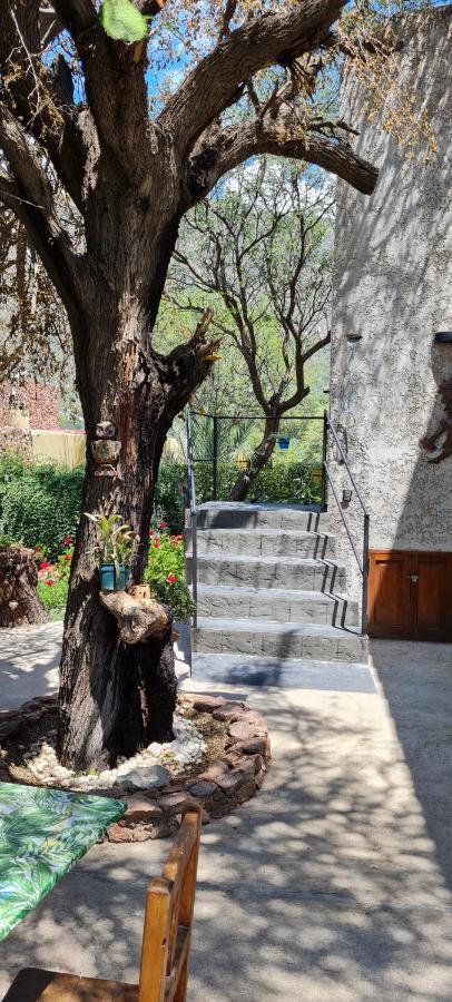 Appartamento Santa Teresita Cafayate Esterno foto